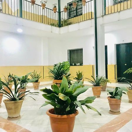 Los Patios De La Juderia 세비야 외부 사진