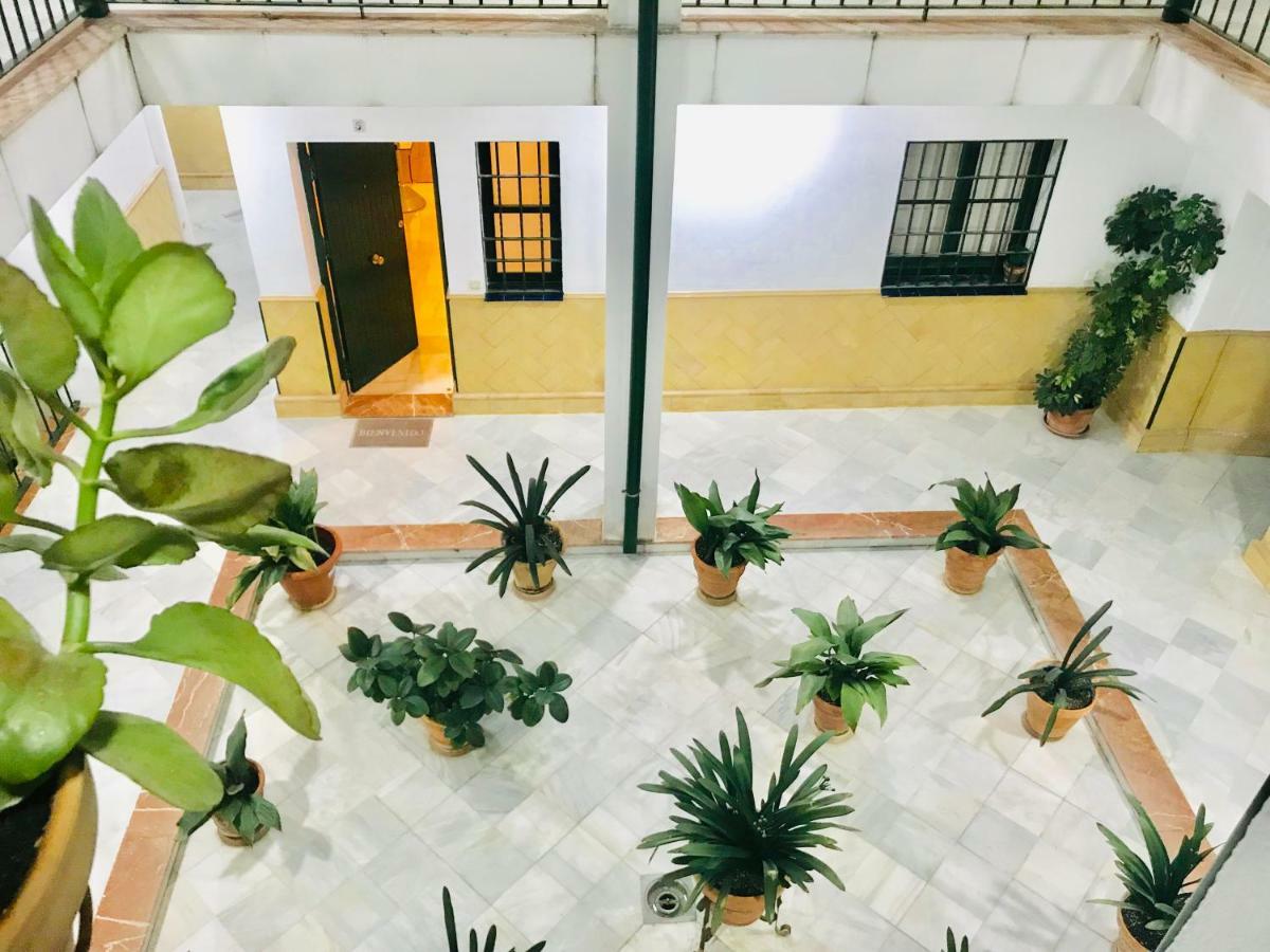 Los Patios De La Juderia 세비야 외부 사진
