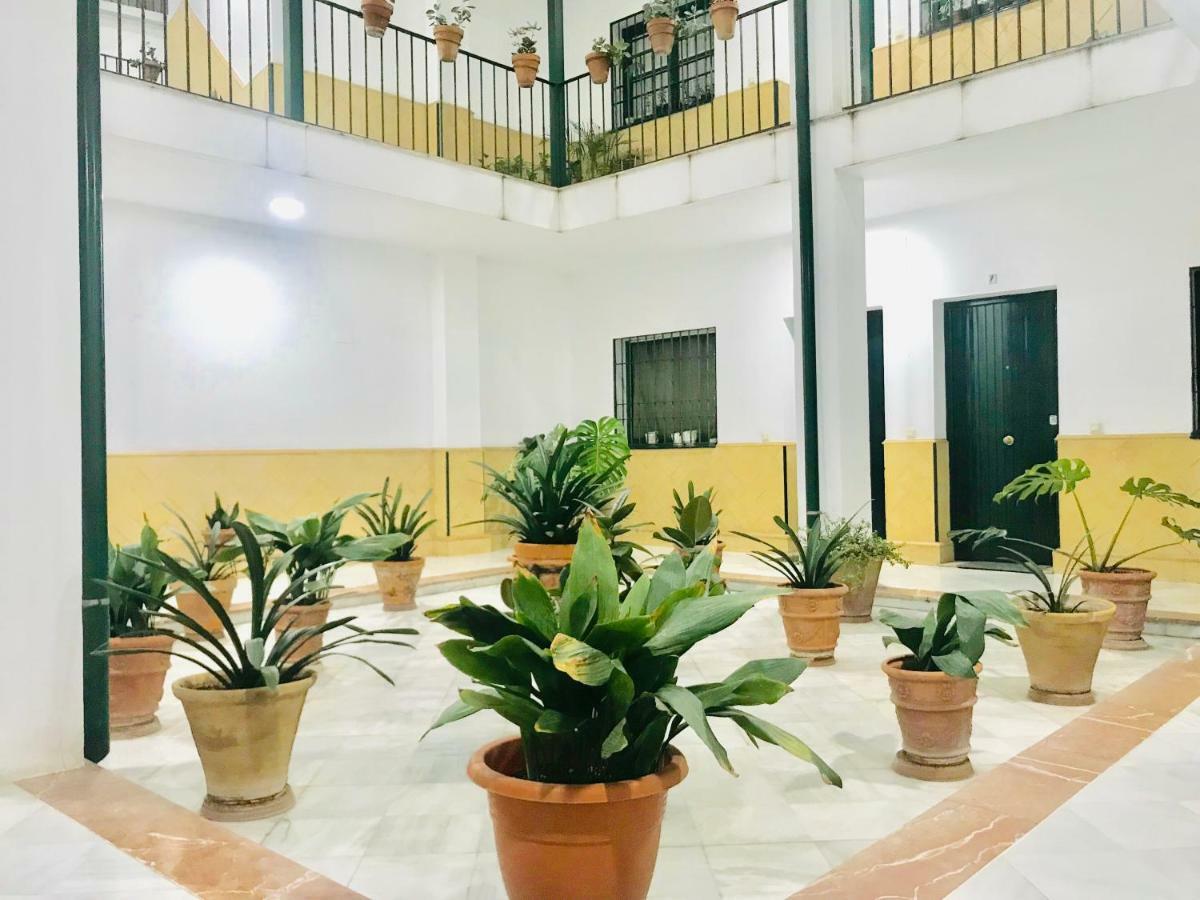 Los Patios De La Juderia 세비야 외부 사진