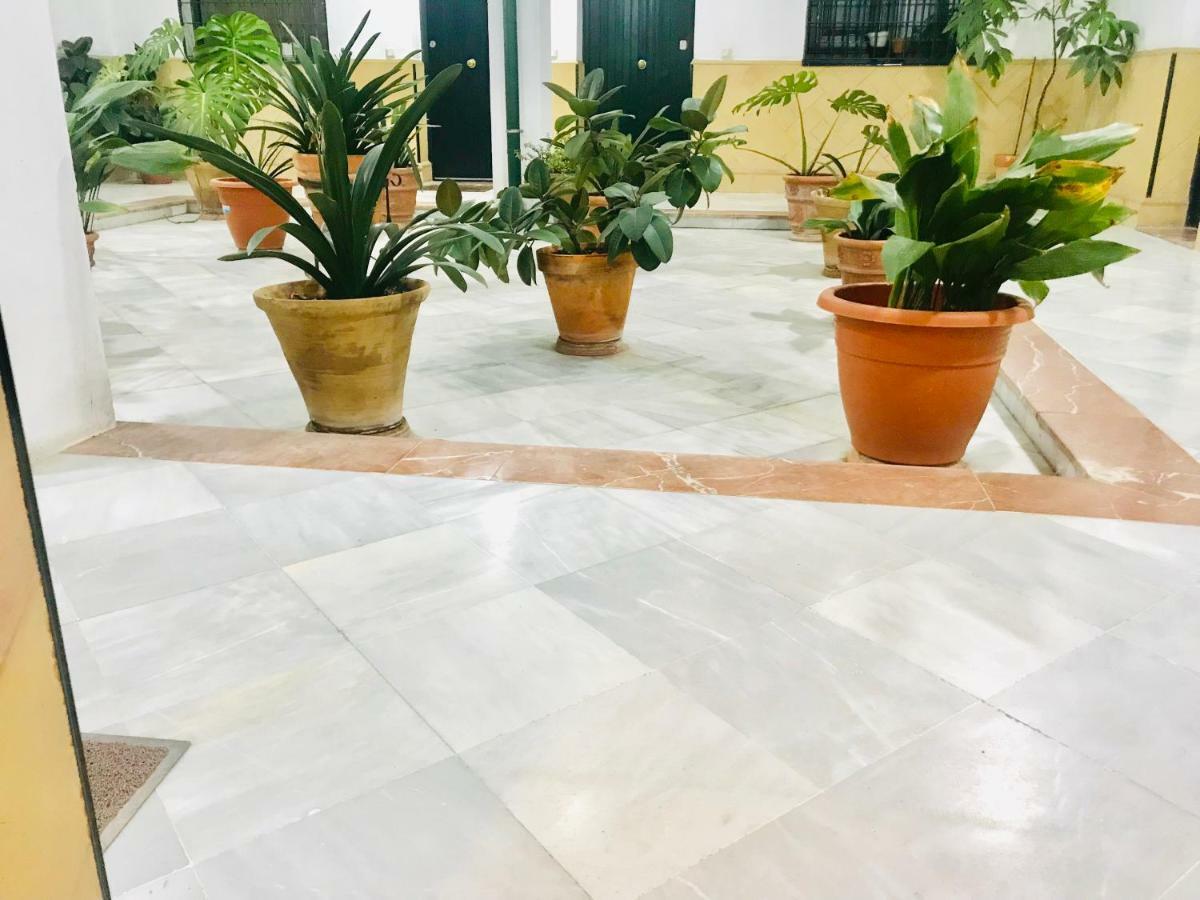 Los Patios De La Juderia 세비야 외부 사진